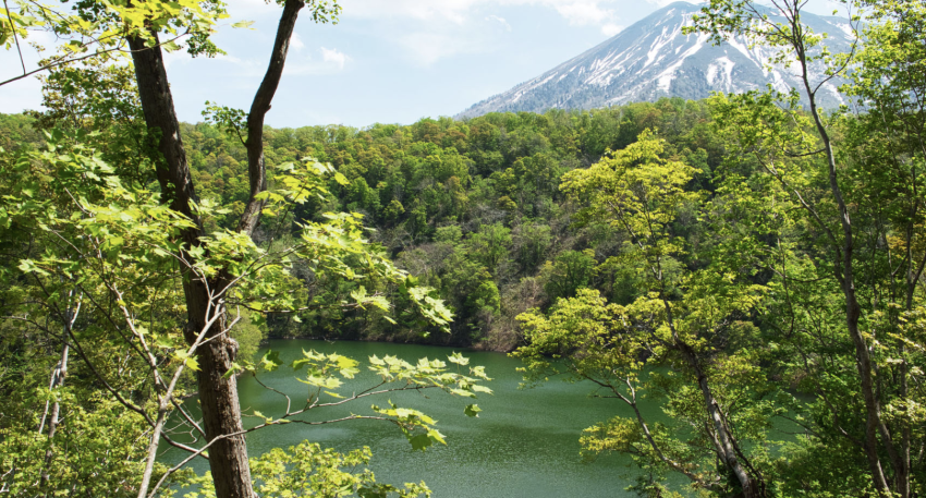 Half Moon Lake in Hokkaido offers a serene sanctuary surrounded by Mount Yotei and diverse wildlife