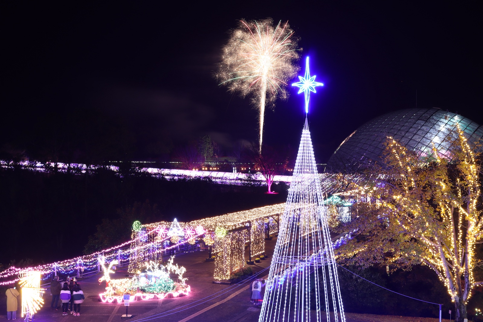 Tottori Hanakairo flower park - Japan Today