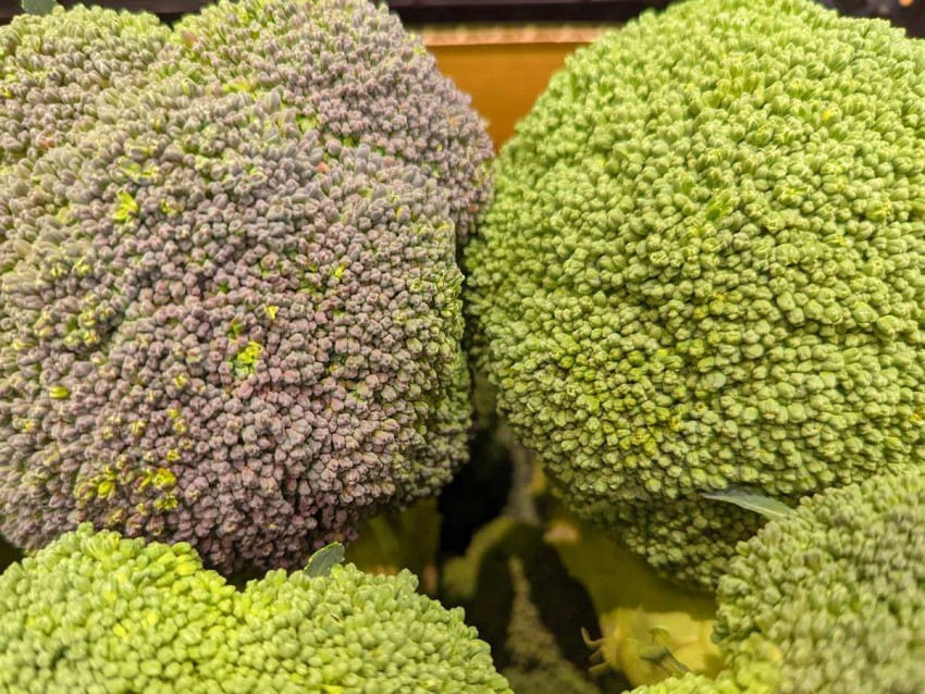 Why Should You Avoid Broccoli?  