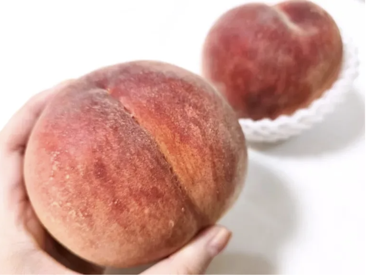 Peachy keen life hack! Japan’s Zen-Noh shares an ingeniously easy way to pit a peach in seconds
