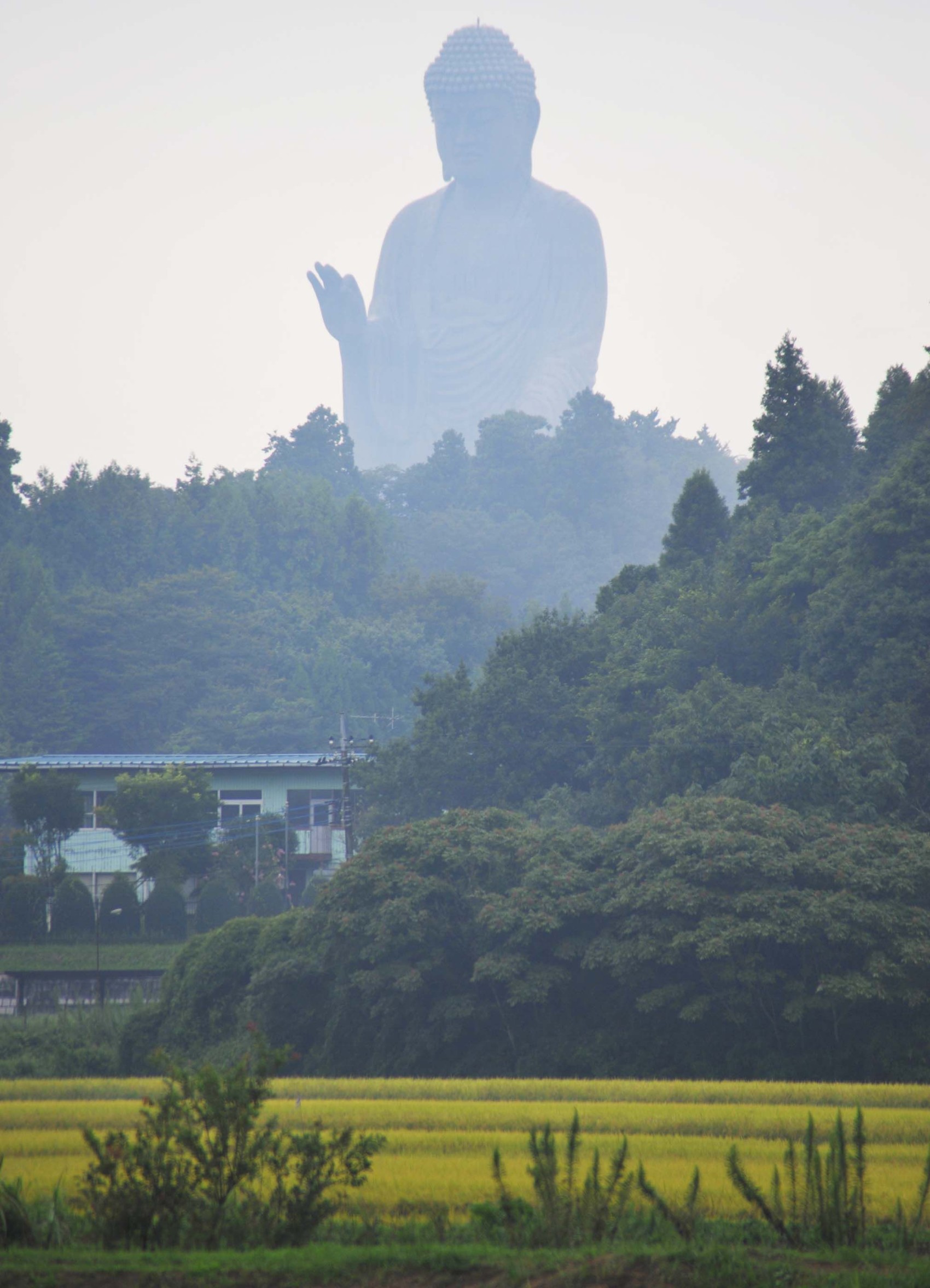 Big Buddha - Japan Today