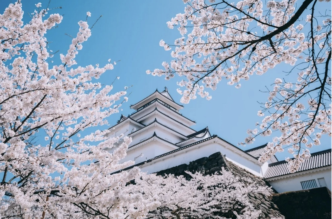 The Best Spots to See Cherry Blossoms Around Osaka - GaijinPot Travel