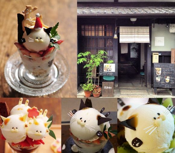 Kyoto book cafe  serves up cute cat  parfaits in traditional 