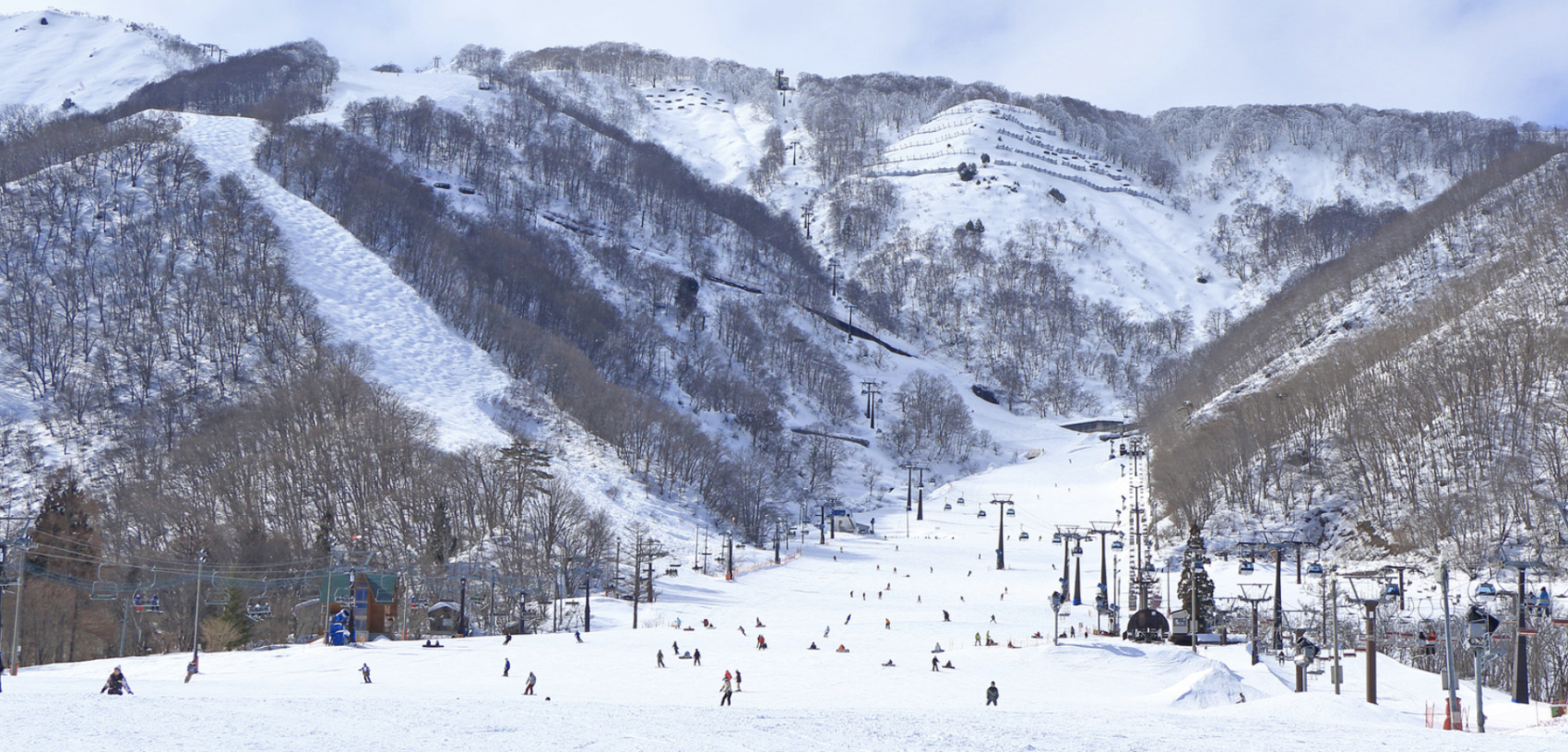 Hakuba Goryu Snow Resort boasts powder snow and family-friendly slopes