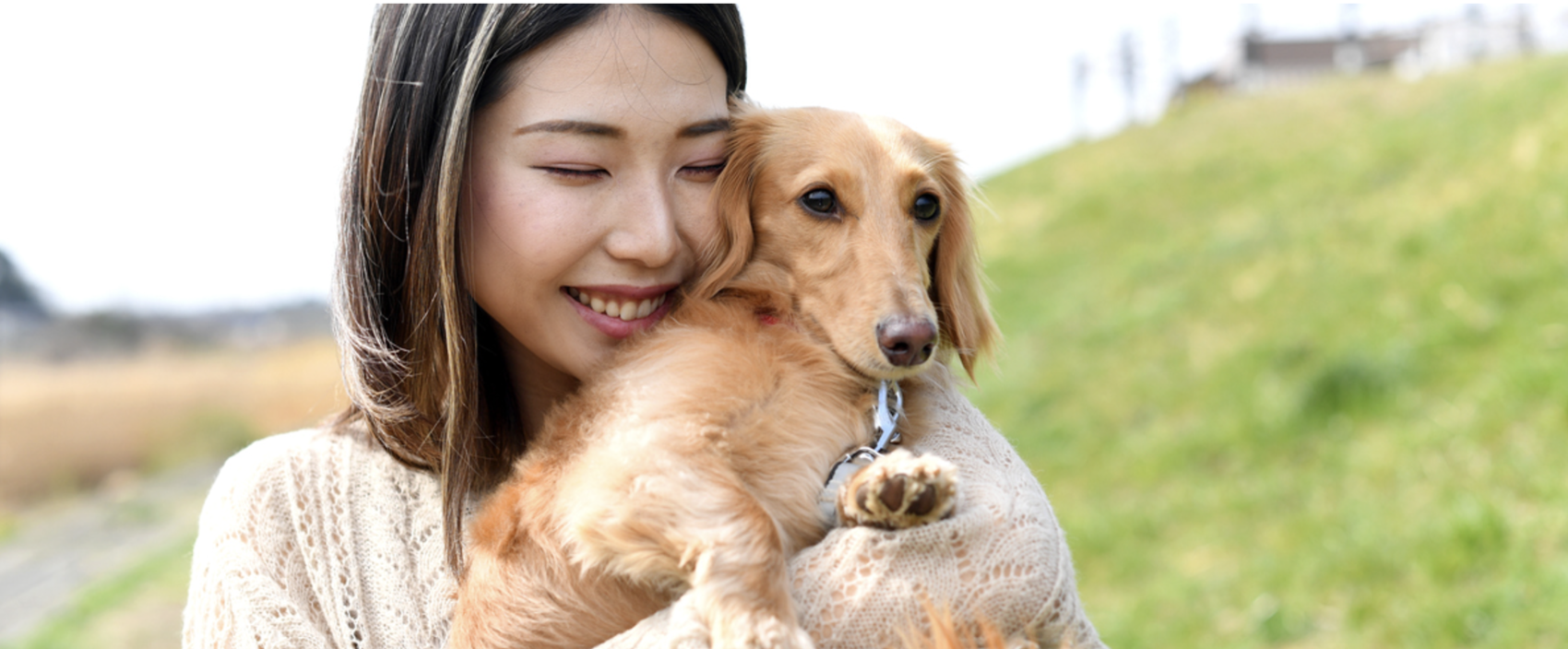 Pet adoption in Japan: Things to consider