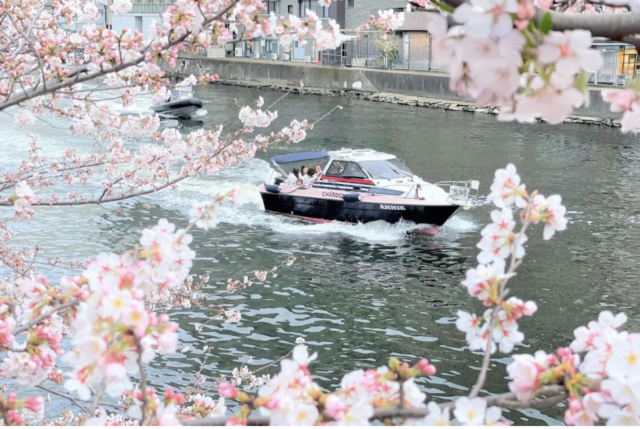 Reservations are now open for Tokyo’s Meguro River Ohanami Chandon Cruises