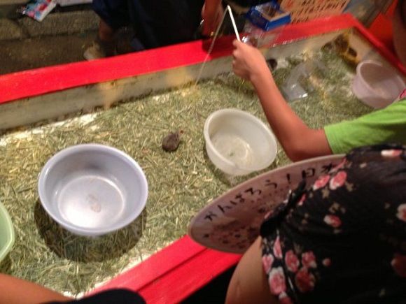 Animal rights groups unhappy as 'hamster fishing' game spotted at summer  festival - Japan Today