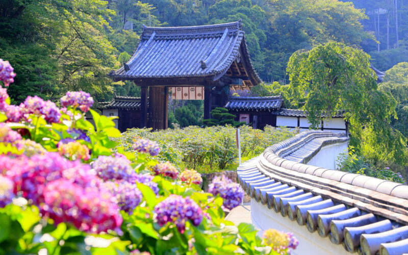 Hasedera or the 'Temple of Flowers' resides high on mountainside in Nara Prefecture