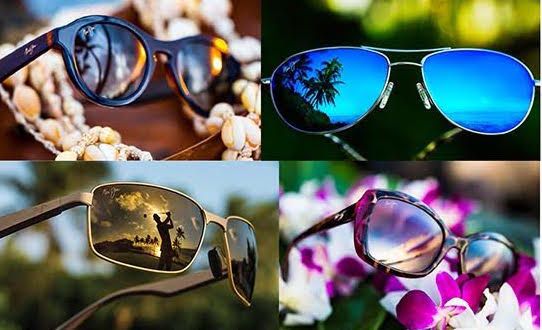 Maui Jim Sunglasses – Sea-Run Fly & Tackle