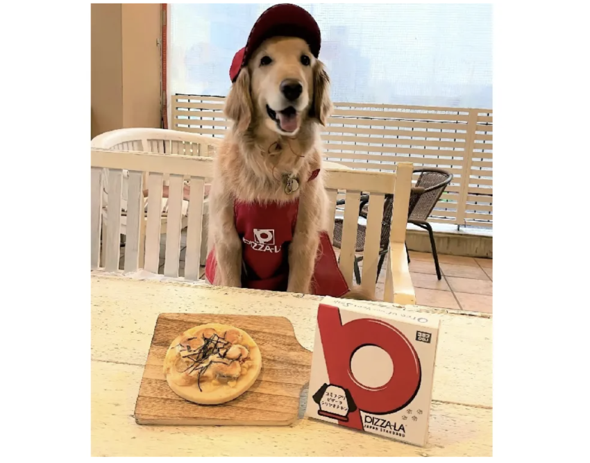 Japanese pizza chain starts nationwide delivery of for-dogs pizzas