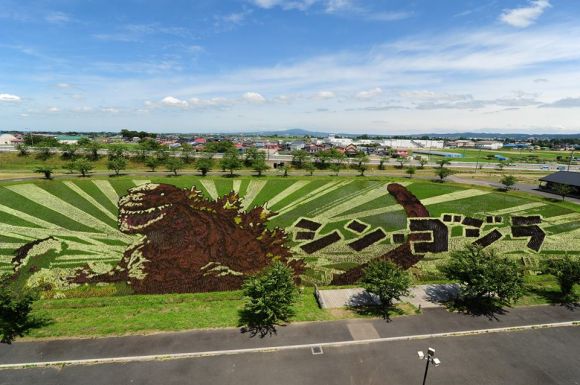 Godzilla appears in Aomori Pref as rice paddy art - Japan Today