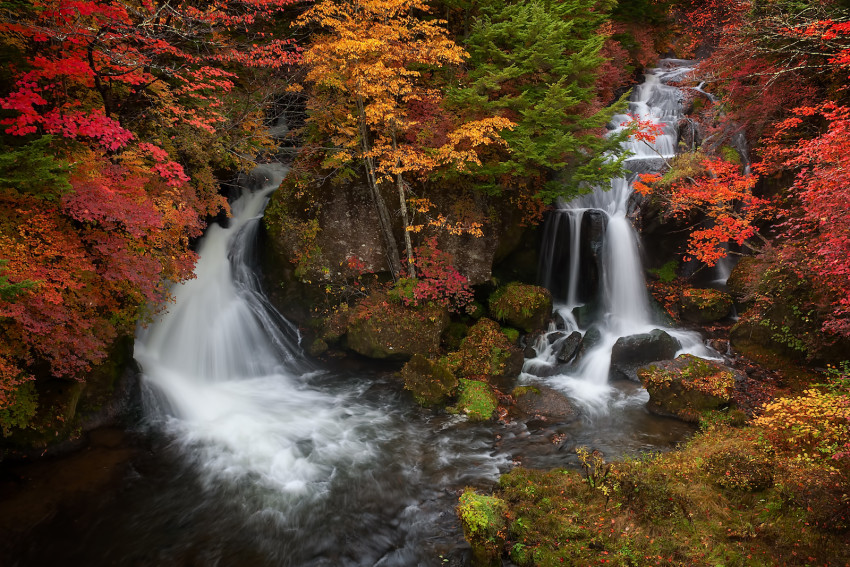 Autumn aura - Japan Today