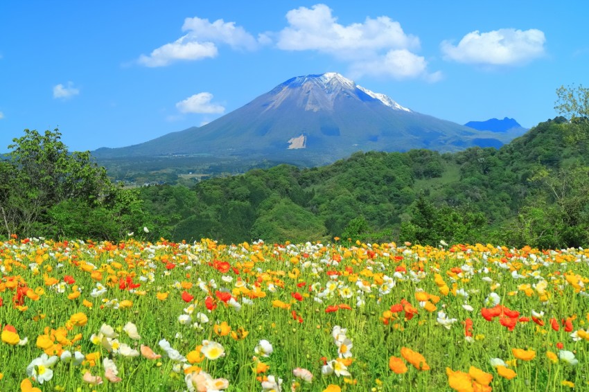 Discover Japan's 'new green' season in Shimane and Tottori prefectures ...