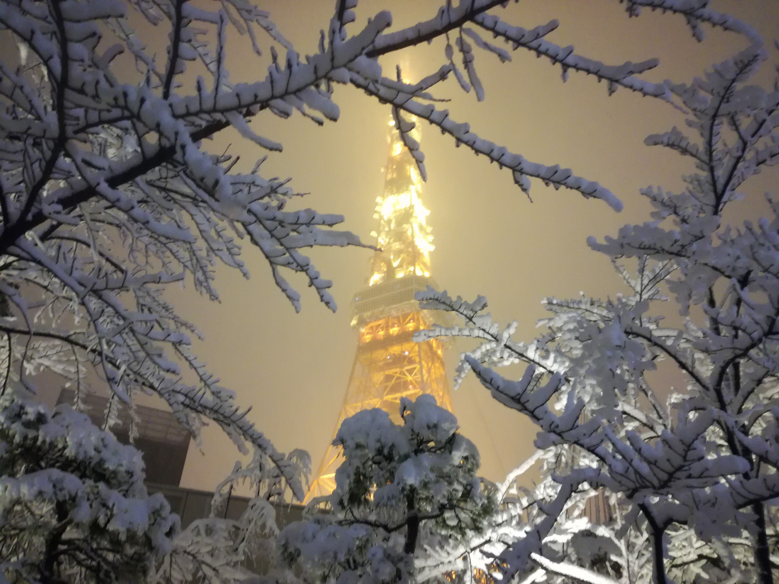 Photos: Heaviest snowstorm in years cuts power, delays travel in Tokyo