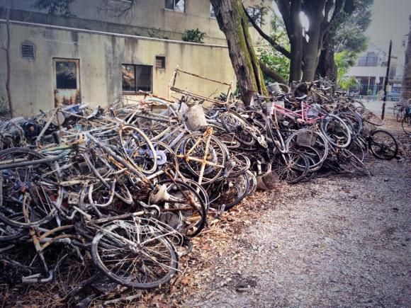 bicycle recycle project