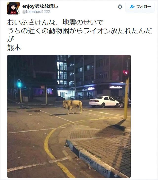 Man Arrested For Posting False Tweet Claiming Lion On The Loose After Kumamoto Quake Japan Today
