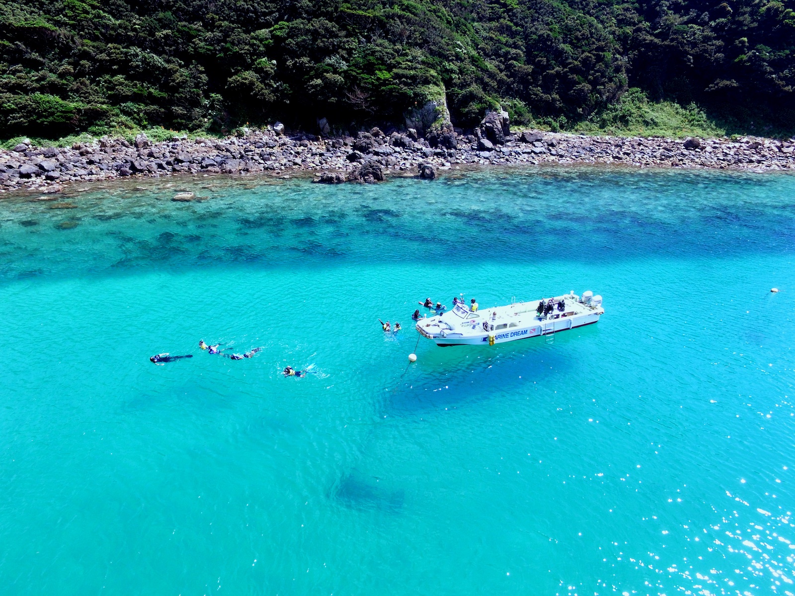 Kochi Prefecture launches 'Naturally Japan, Naturally Kochi' campaign