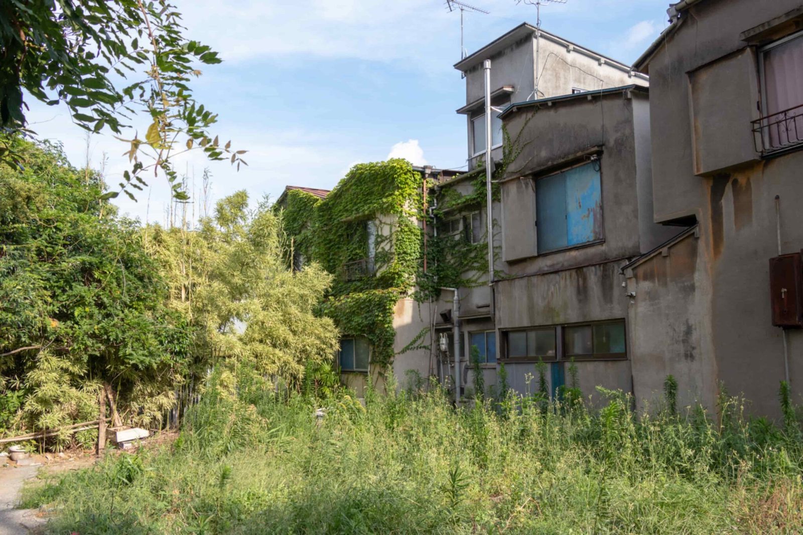 want-to-live-in-an-abandoned-house-in-japan-here-s-why-it-s-not-really