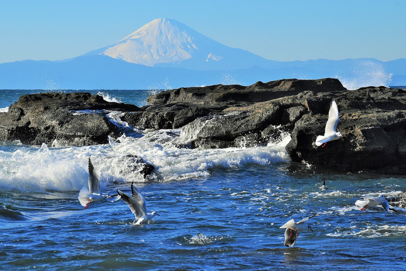 Miura Peninsula  Fastest Known Time