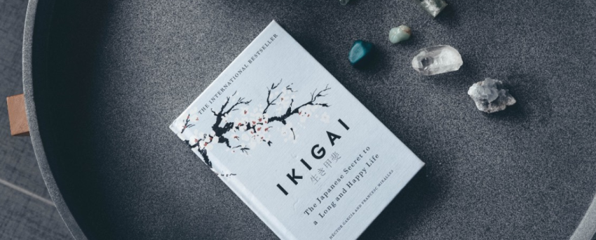 Ikigai' - The Japanese concept of finding purpose in life - Japan Today