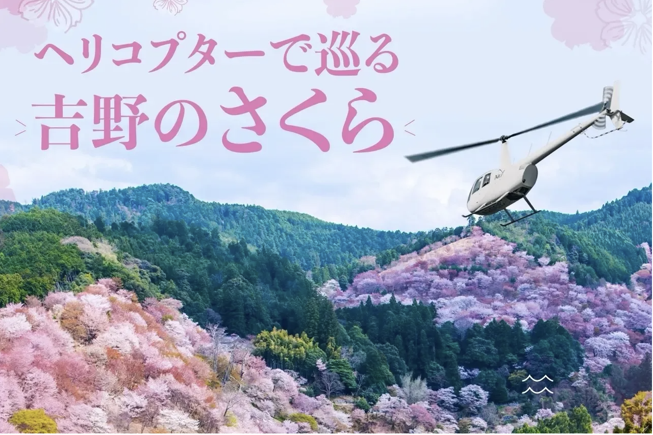 Central Japan’s most famous cherry blossom spot now has sakura helicopter sky cruises