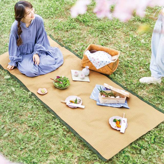 Folding Japanese Traditional Tatami Mat