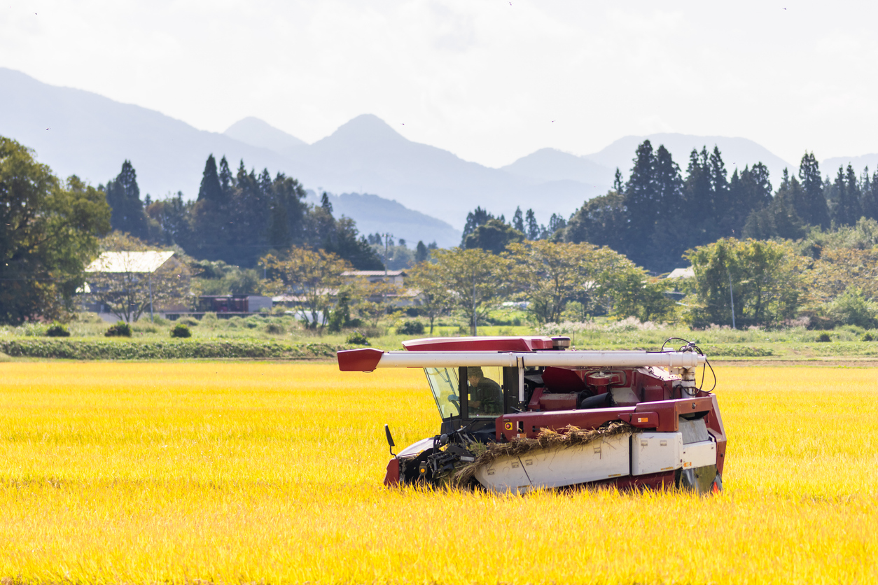 Japan aims to increase rice exports 8-fold to 350,000 tons in 2030