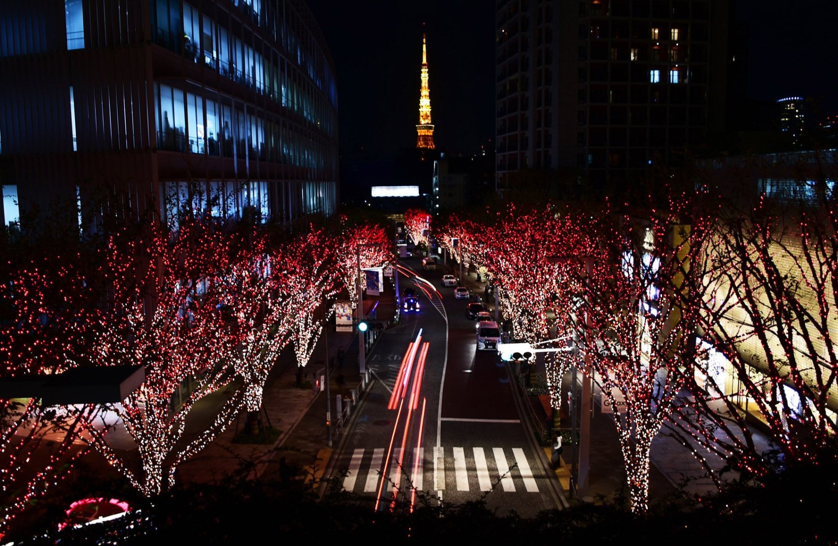 Roppongi Hills Christmas Japan Today