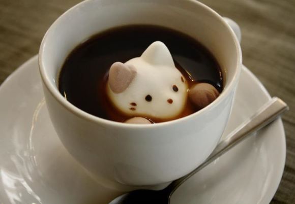 https://japantoday-asset.scdn3.secure.raxcdn.com/img/store/80/bc/2ff21aad7f86ecc1c4b6c1543a99831a1683/latte.jpg