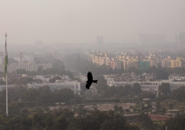 Trump Air Monitoring Shutdown