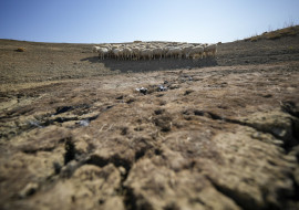 Climate Drier Land