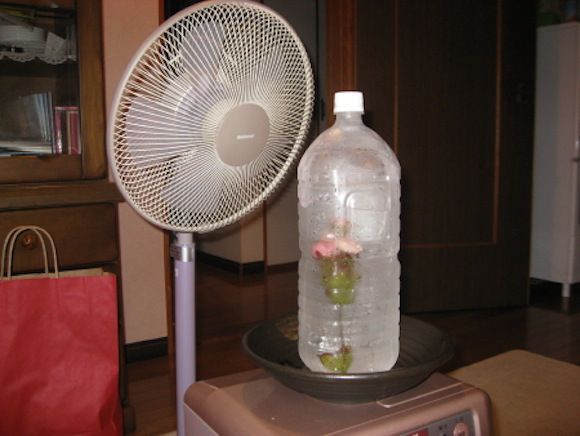 5 cool Japanese life hacks and gadgets to beat the summer heat outdoors