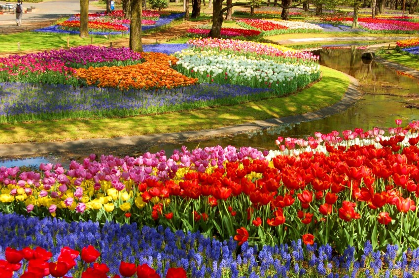 Flower festival - Japan Today