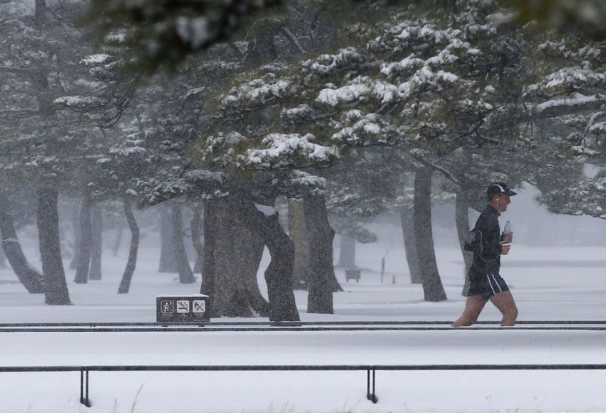Snowstorm in Tokyo disrupts road, rail and air transport
