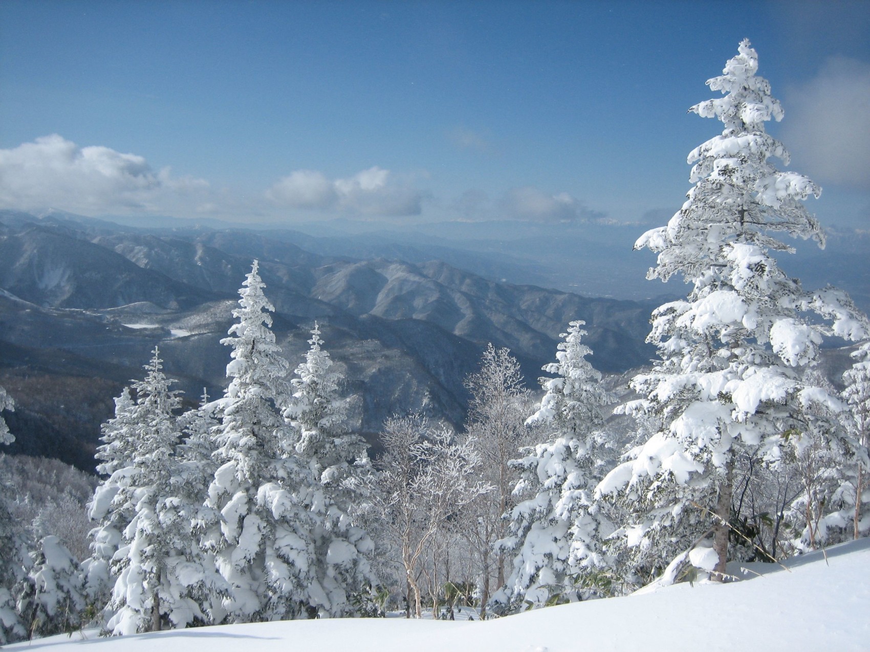 Nagano - Japan Today