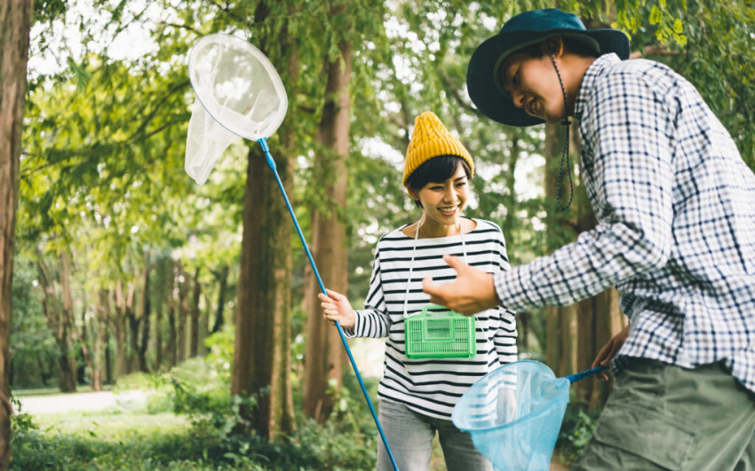 Grab a net and bug box and find out why bug catching is one of Japan's most popular summertime activities