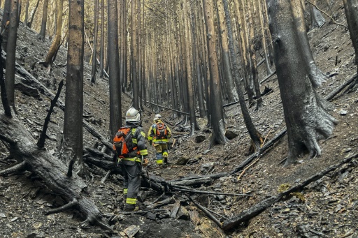 Rain checks spread of Japan wildfire