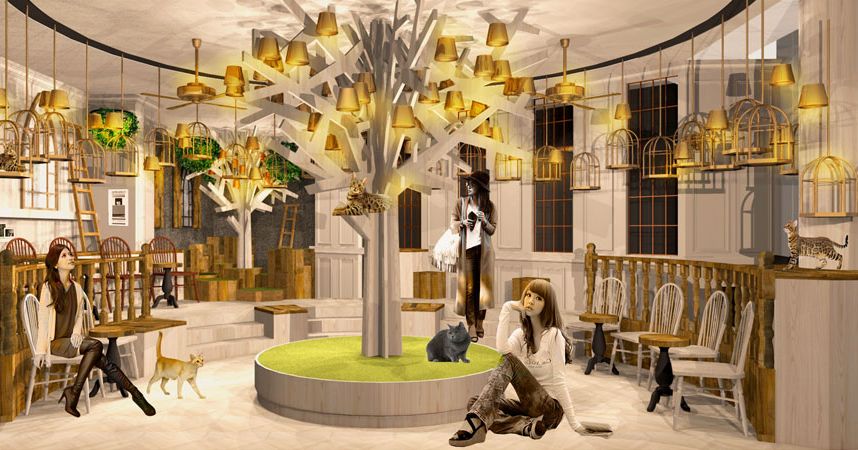 Ultra fashionable cat  cafe  to open in Tokyo s Harajuku  