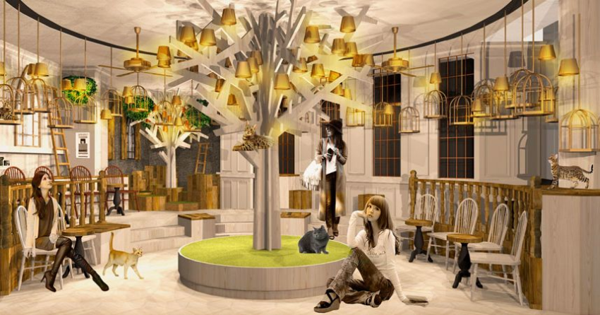 Ultra fashionable cat  cafe  to open  in Tokyo s Harajuku 