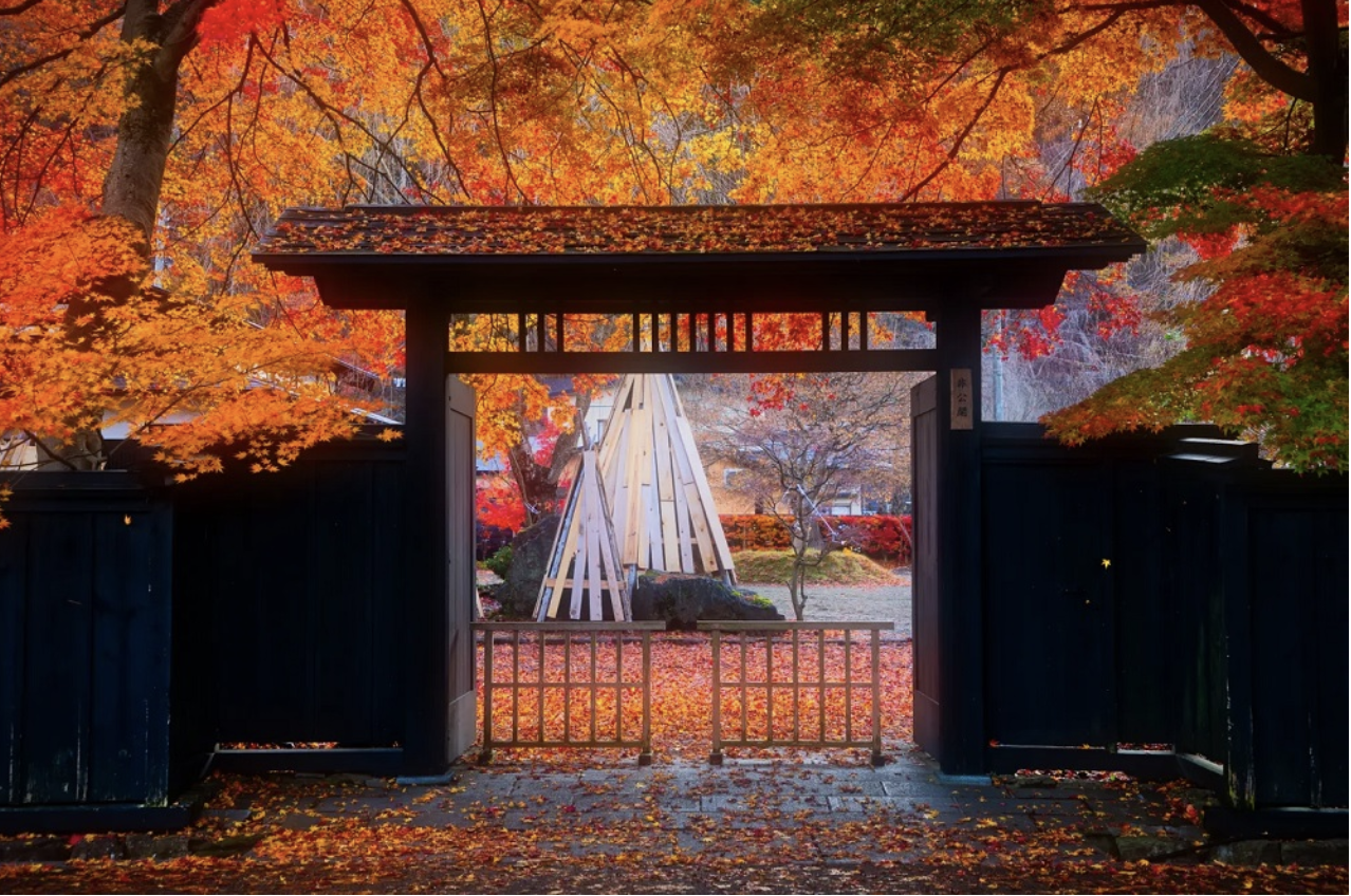 When Is The Best Time To See Japan S Amazing Fall Color Leaves Japan Today