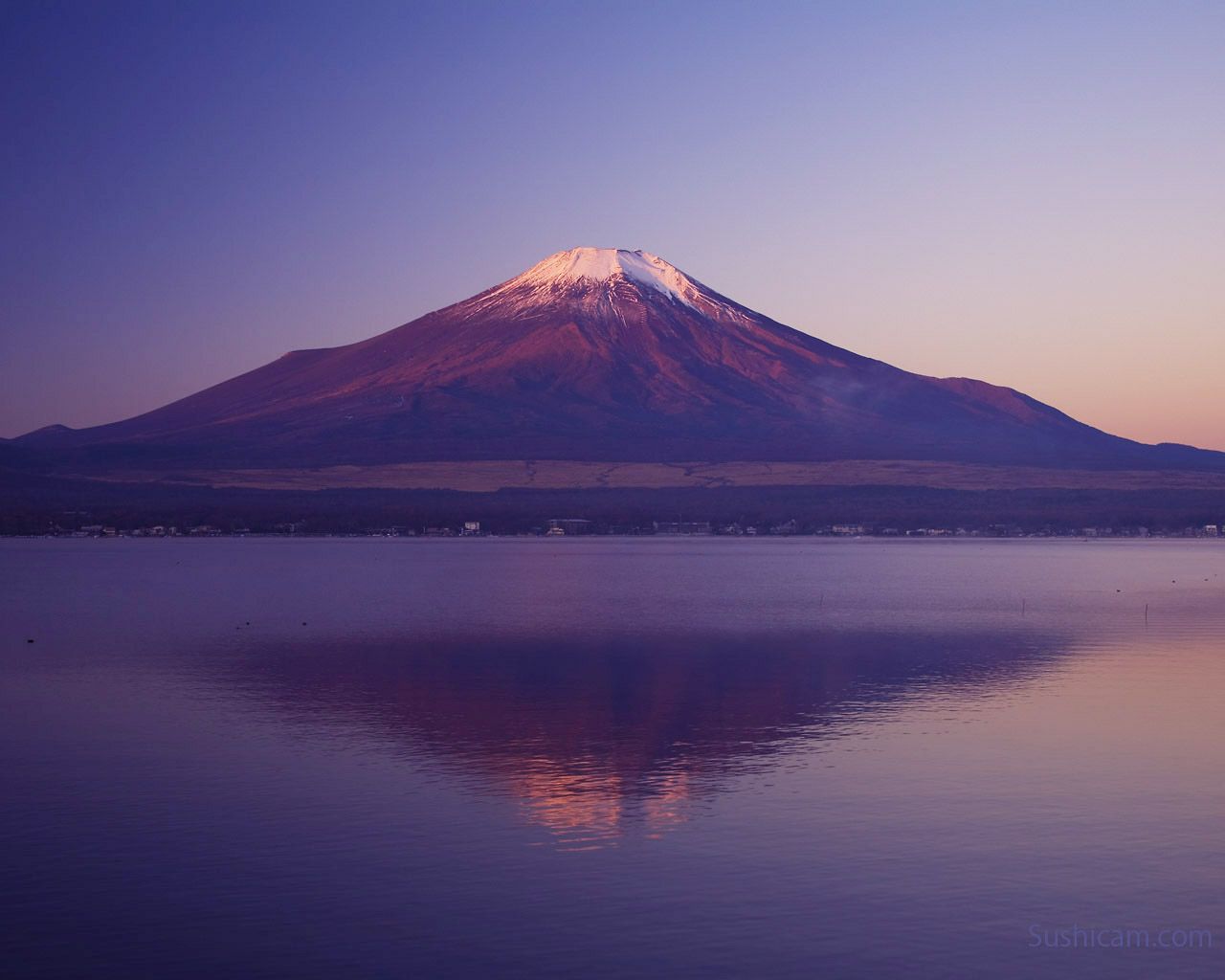 purple-fuji-japan-today