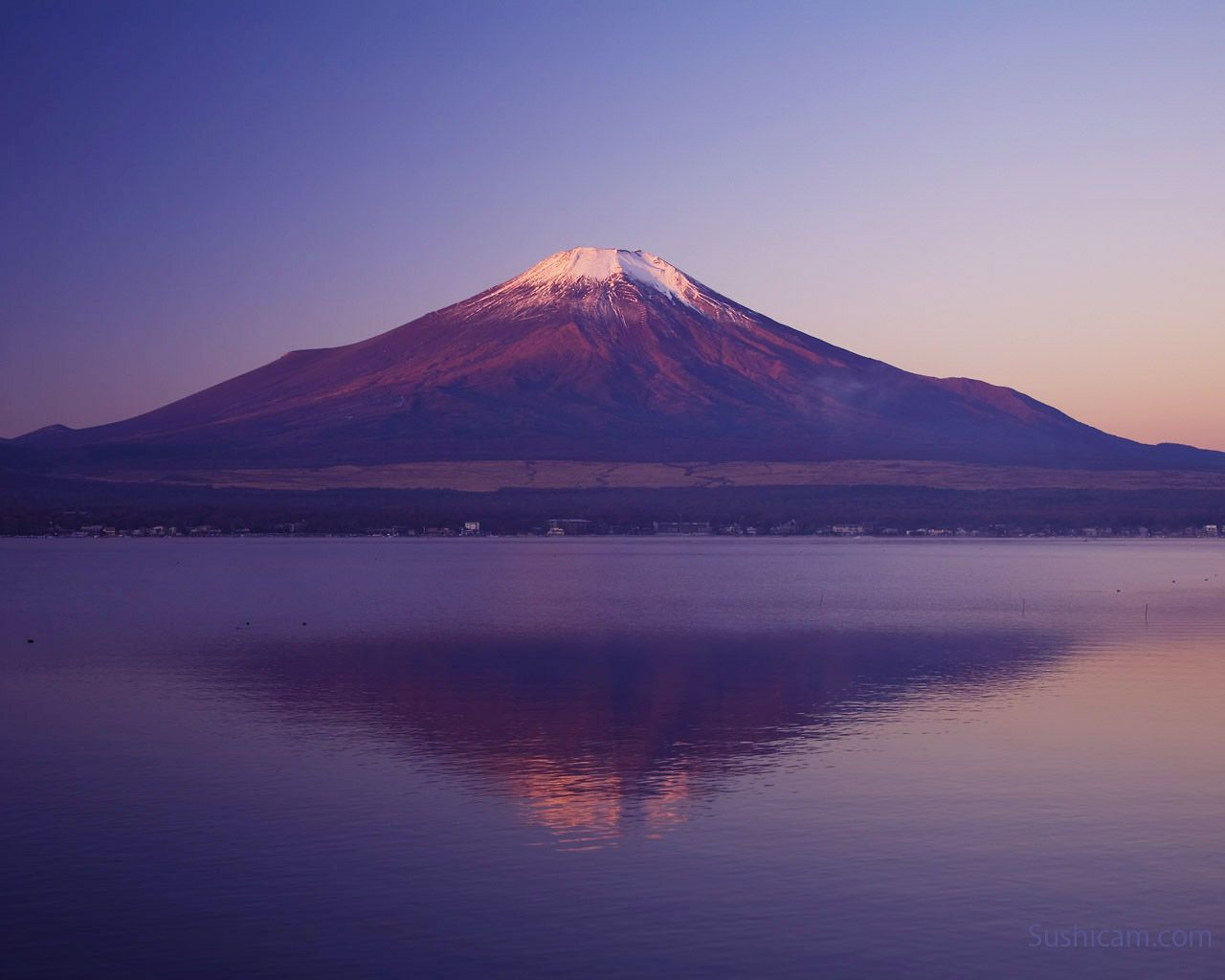 Обои Mount Fuji-Purple. Купол Фудзи. Mount Fuji Purple живые обои. Mount Fuji Purple. Фудзи самара
