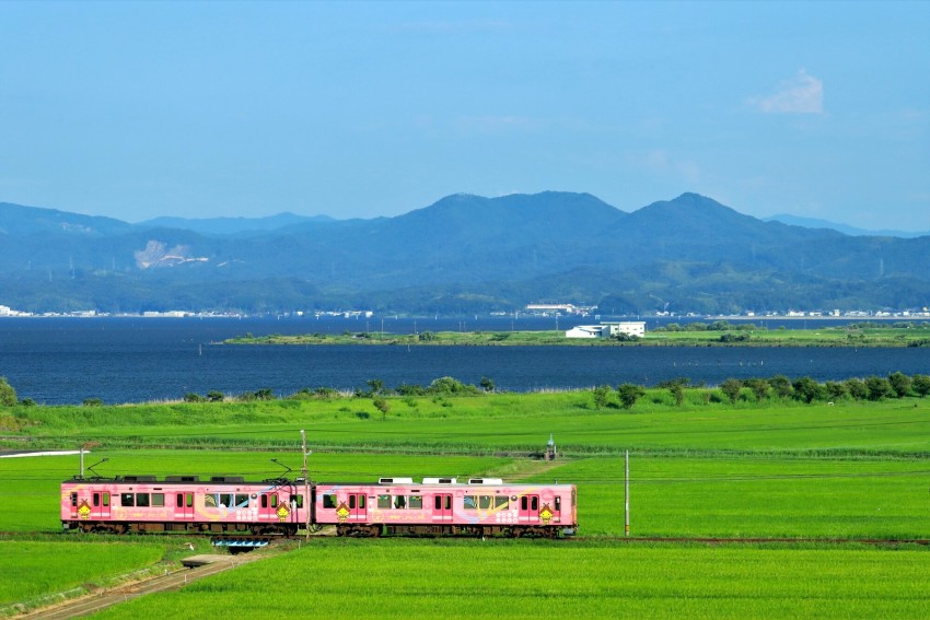 The privately-run Ichibata Electric Railway provides access to Izumo’s most famous attractions and operates special trains such as this pink one featuring Shimanekko — the prefectural mascot.