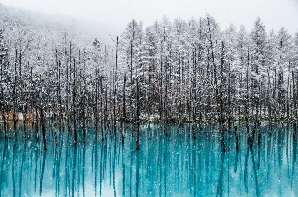 Twitter In Awe Of Photos Of Hokkaido S Otherworldly Blue Pond Japan Today