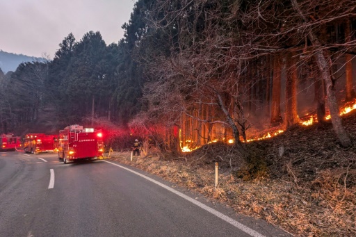 Rain offers relief as Japan battles worst wildfire in 50 years