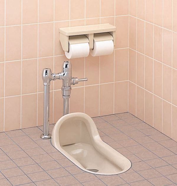 Image result for squat toilet