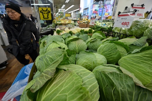 Japan's core inflation rate hits 3.2% in January