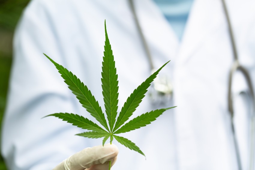 Marijuana use linked to higher risk of heart attack and stroke