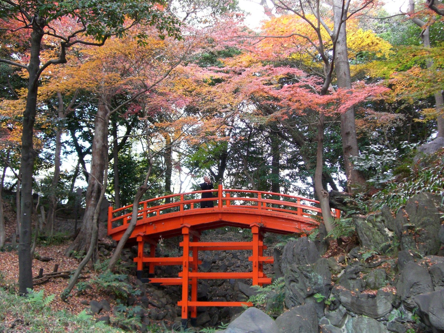 Koishikawa Korakuen/Tokyo Dome City: Tokyo's eclecticism in focus